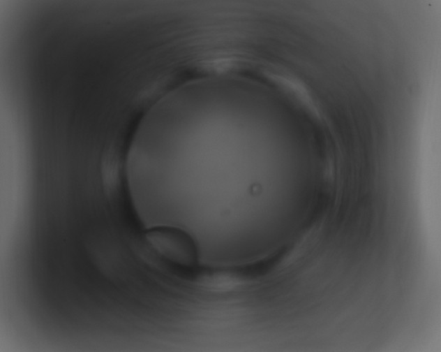 X0000100780503200807031234