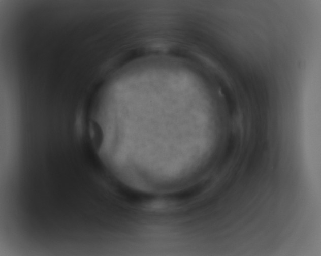 X0000100780504200807031234