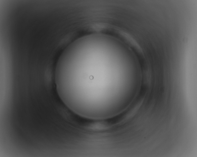 X0000100780505200807031234