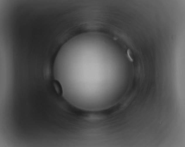 X0000100780508200807031234