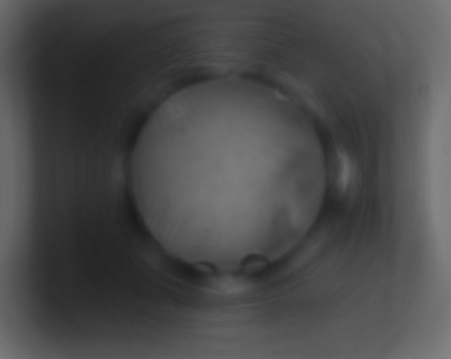 X0000100780511200807031234