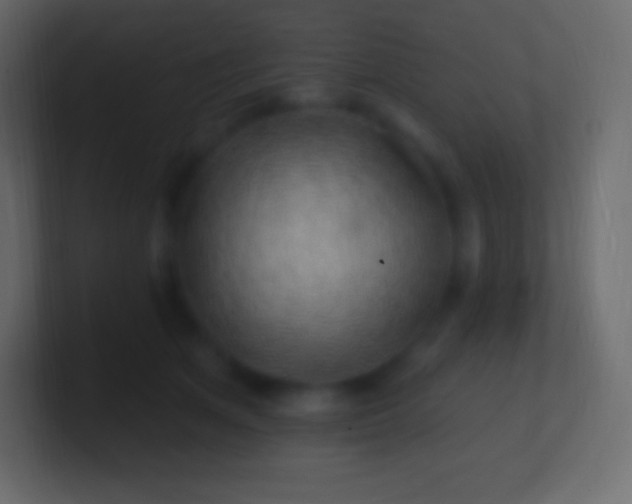 X0000100780513200807031234