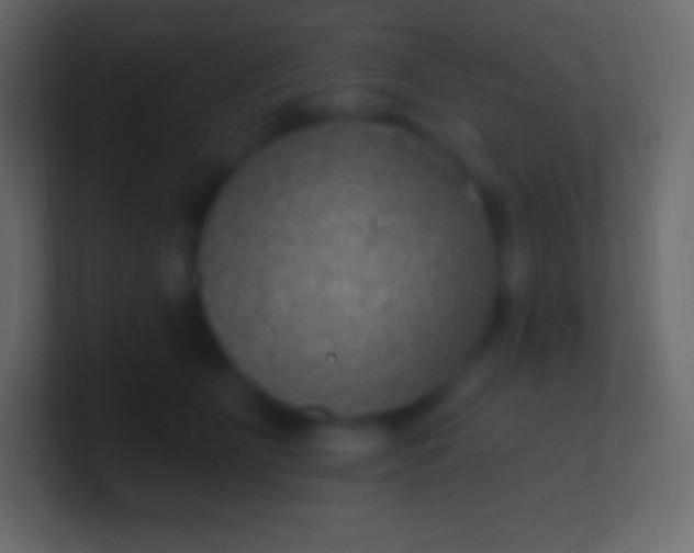 X0000100780515200807031234