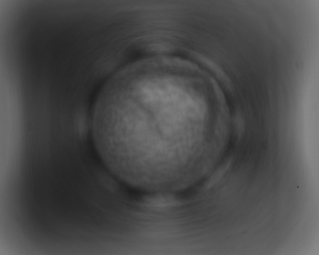 X0000100780517200807031234