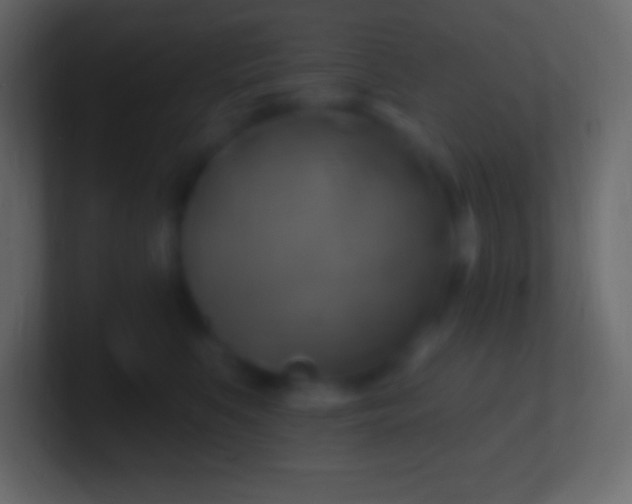 X0000100780519200807031234