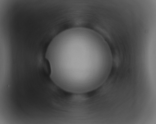 X0000100780520200807031234