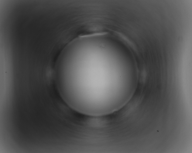 X0000100780521200807031234