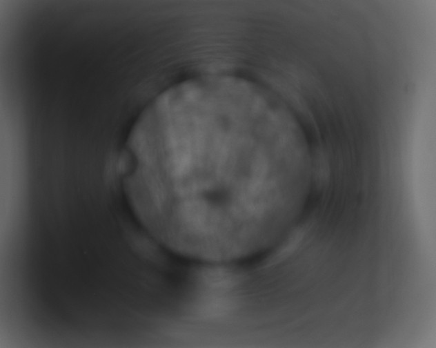 X0000100780523200807031234