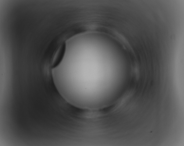 X0000100780525200807031234