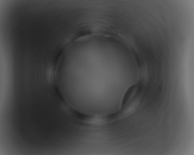 X0000100780527200807031234