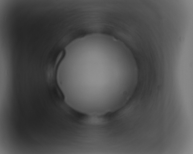 X0000100780528200807031234