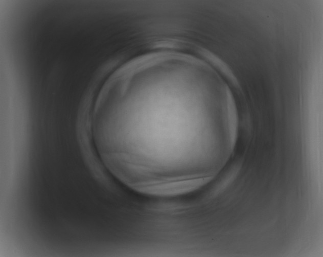 X0000100780529200807031233