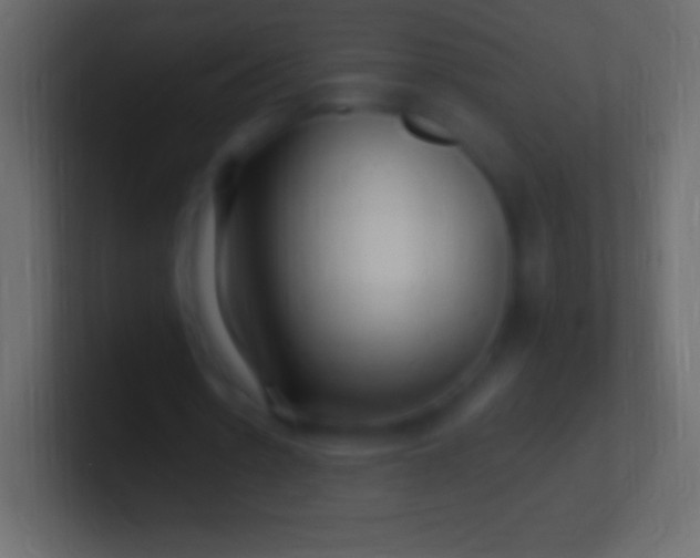 X0000100780530200807031233