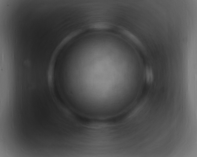 X0000100780531200807031233