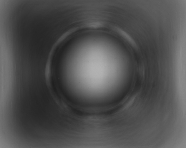 X0000100780532200807031233