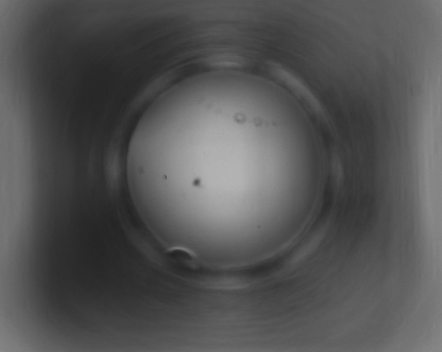 X0000100780533200807031233