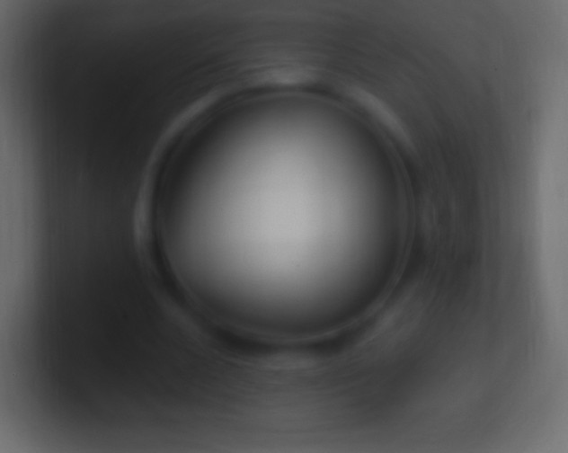 X0000100780536200807031233