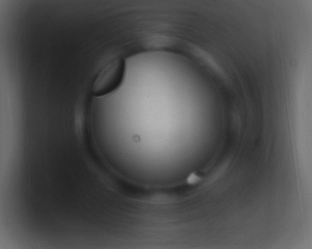 X0000100780539200807031233