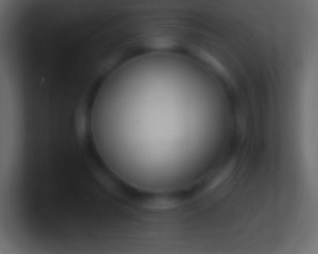 X0000100780541200807031233