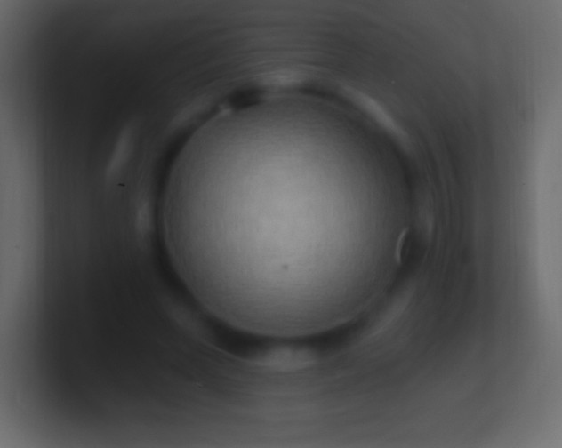 X0000100780543200807031233