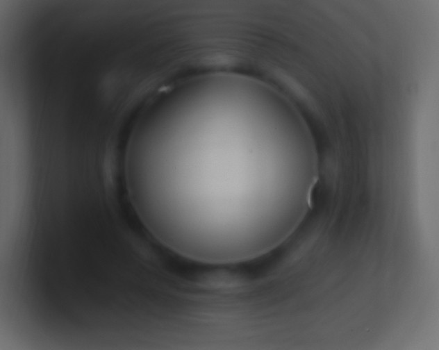 X0000100780544200807031233