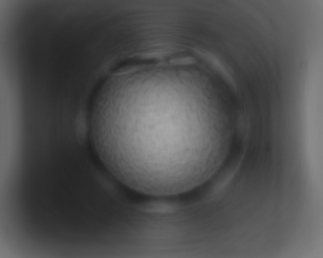 X0000100780545200807031233