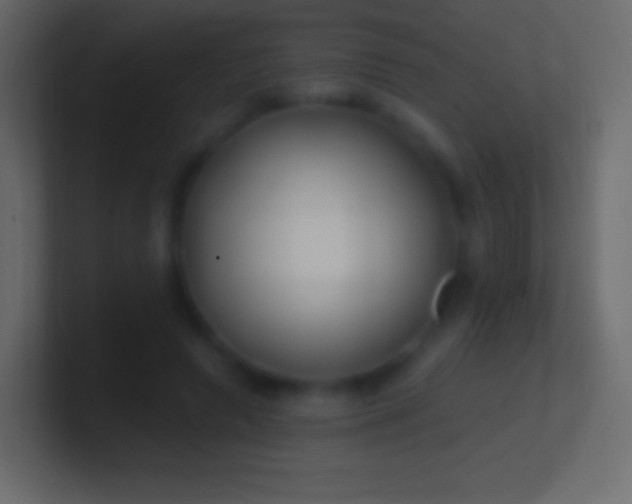 X0000100780546200807031233