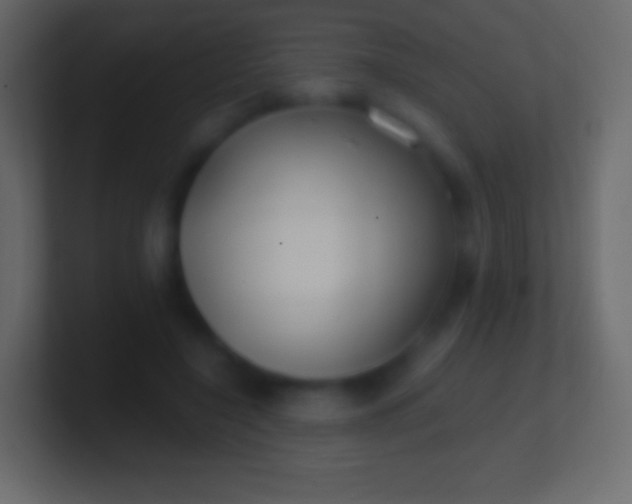 X0000100780548200807031234