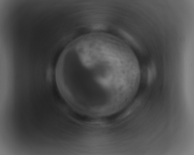 X0000100780550200807031234