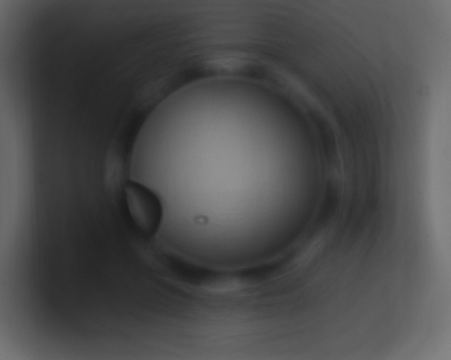 X0000100780551200807031234