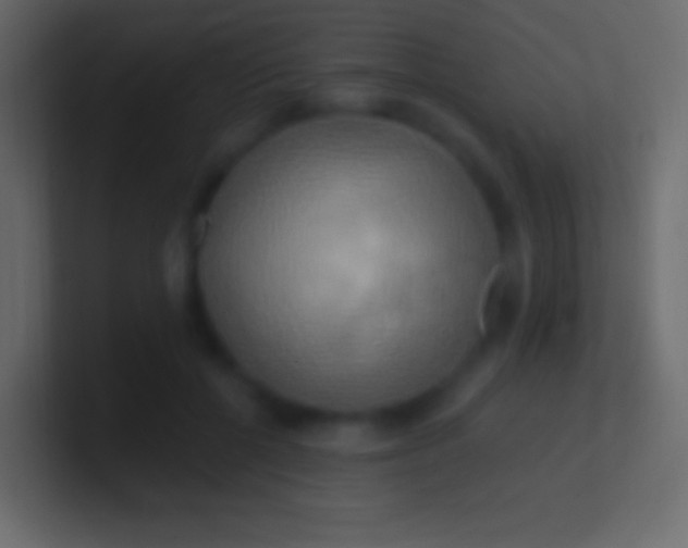 X0000100780552200807031234