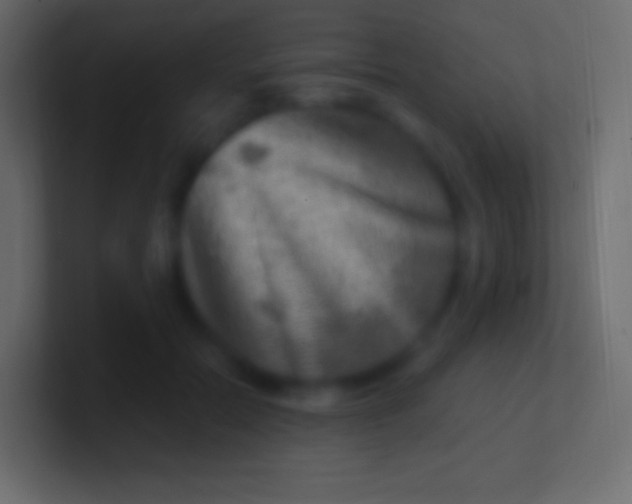 X0000100780554200807031234