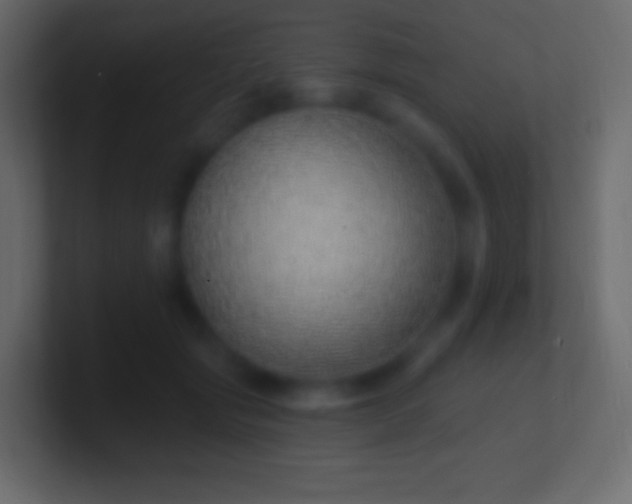 X0000100780557200807031234