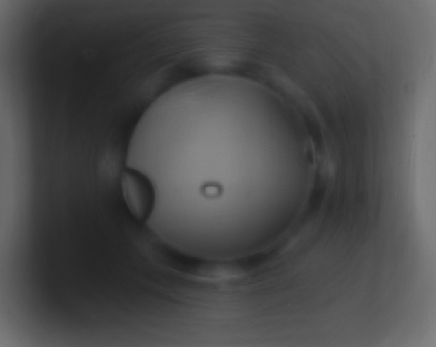 X0000100780559200807031234