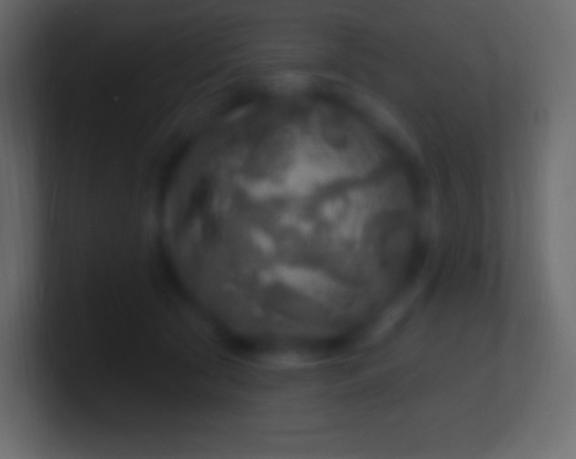 X0000100780561200807031234