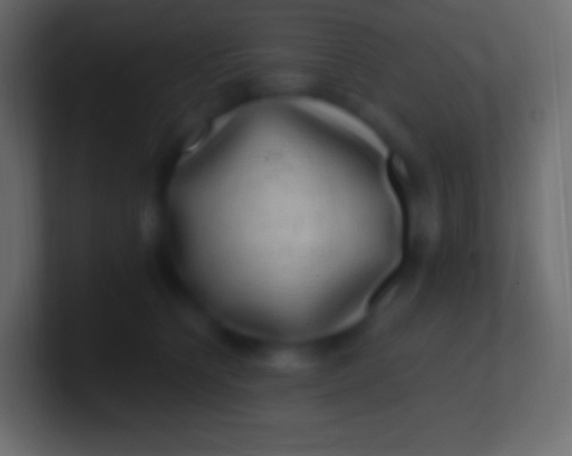 X0000100780564200807031234