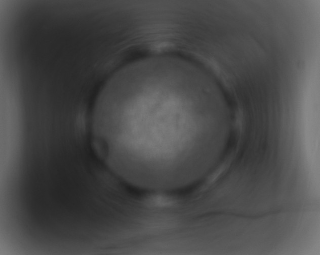 X0000100780565200807031234