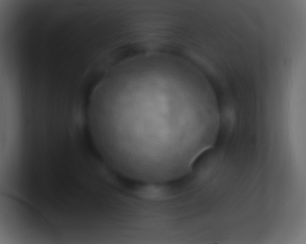 X0000100780566200807031234