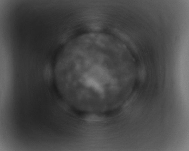 X0000100780568200807031234