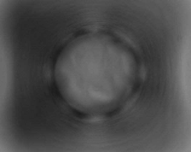 X0000100780569200807031234