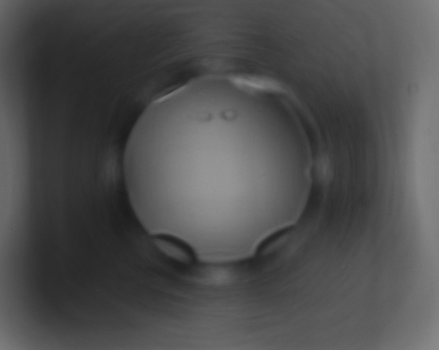 X0000100780570200807031234