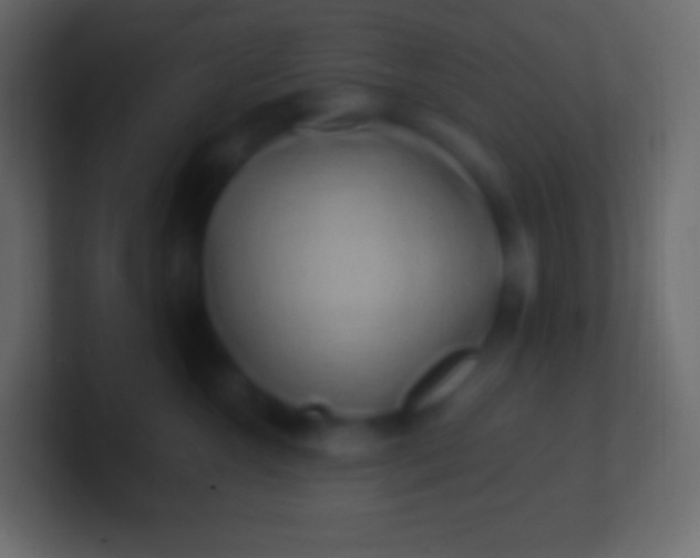 X0000100780572200807031234