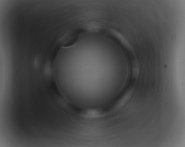 X0000100780573200807031234