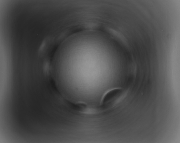 X0000100780575200807031234