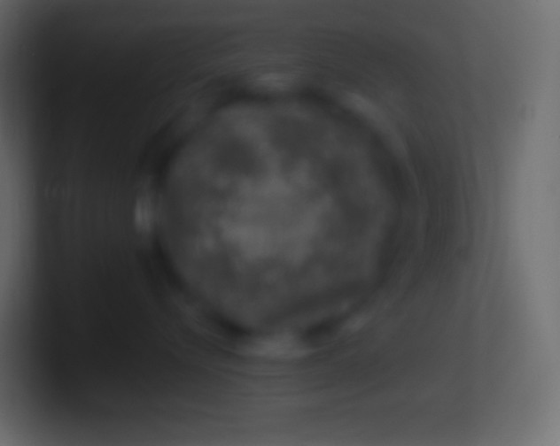 X0000100780576200807031234