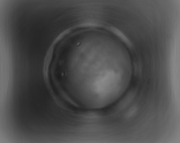 X0000100780580200807031233