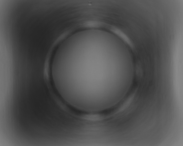 X0000100780581200807031233