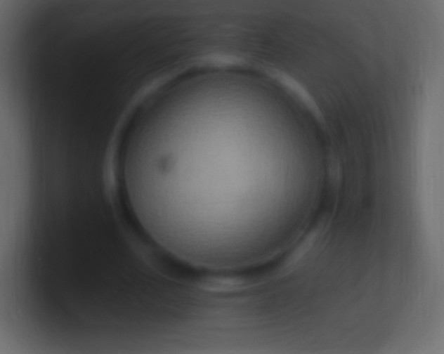 X0000100780582200807031233