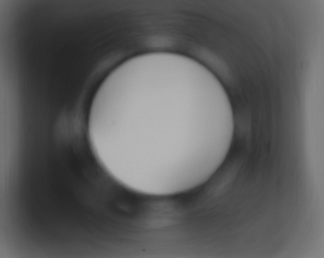 X0000100780583200807031233