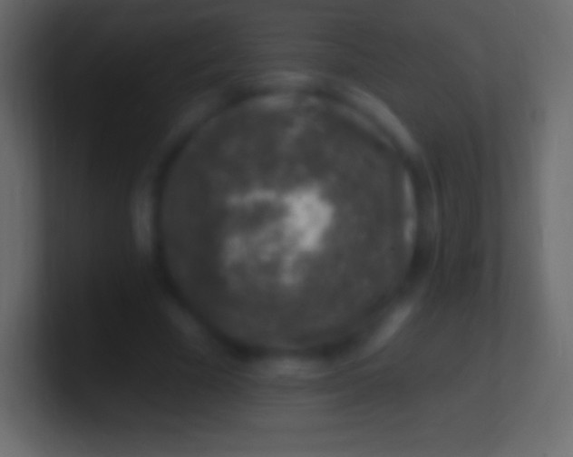 X0000100780585200807031233